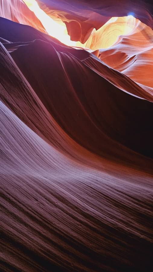 Photo 1 by Kyung P. (11/14/24)