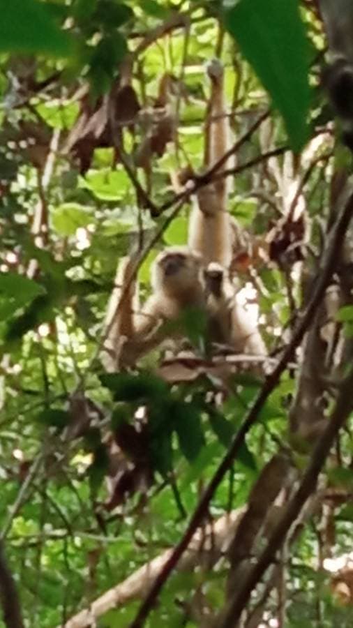 Foto 4 de MARIA LORETO M. (16/10/23)