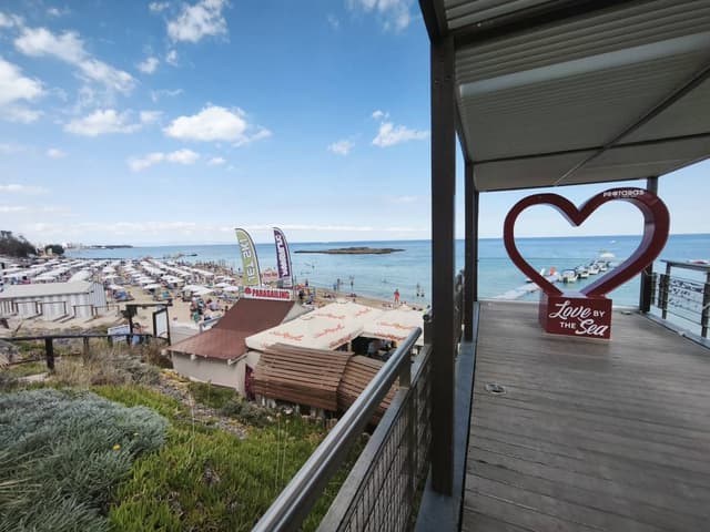 Photo 1 by Peter T. (10/25/25)