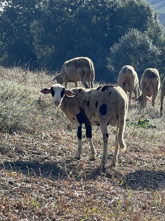 Photo 1 par Jean-Marc T. (12/10/23)