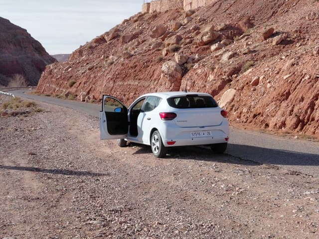 Photo by Adrian G. (2/5/26)