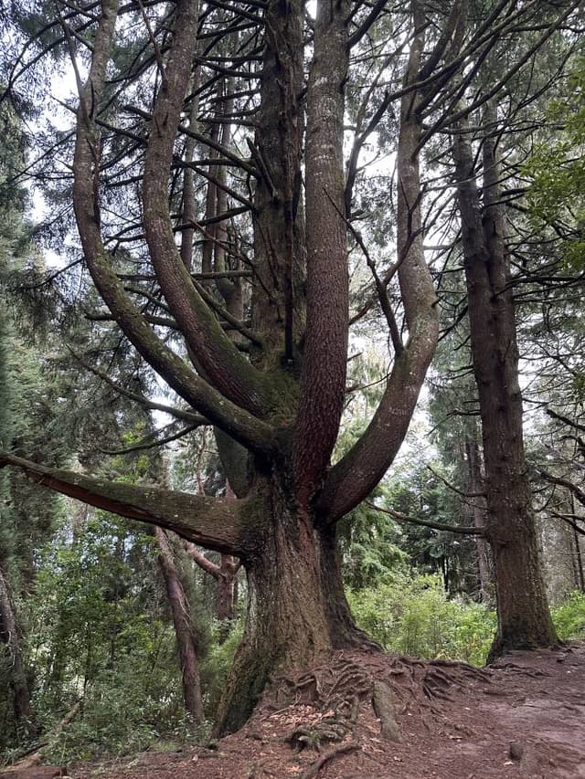 Zdjęcie 3 wykonane przez Michal G. (6.12.25)