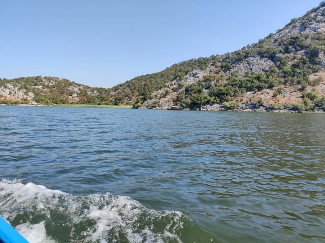 Photo 2 par Laetitia P. (20/08/24)