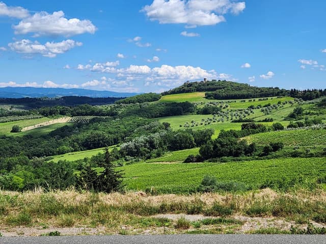 Photo 2 by PAUL C. about renting a Fiat Panda at Florence Airport (6/21/24)