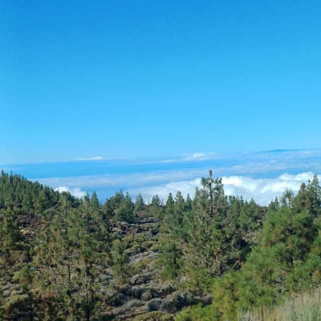 Foto 2 von Tiku Hanne Maria A. (26.10.25)