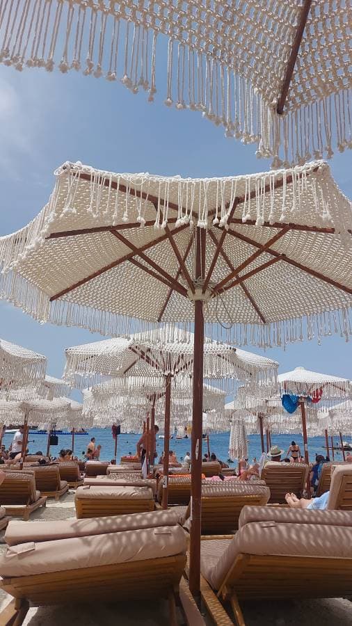 Photo 2 by Barbara F. about hiring a Dacia Sandero Stepway in Tirana (03.07.24)