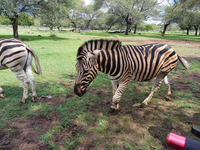 SANGJU L.의 사진 3 (25. 3. 14.)