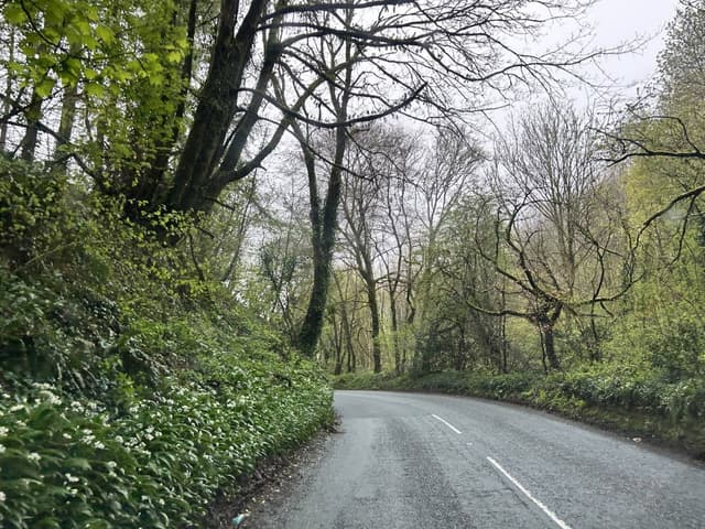 Photo 1 by Robert T. (4/16/26)