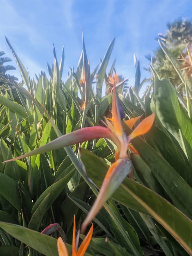 Photo 2 by Mohommed M. (10/31/25)