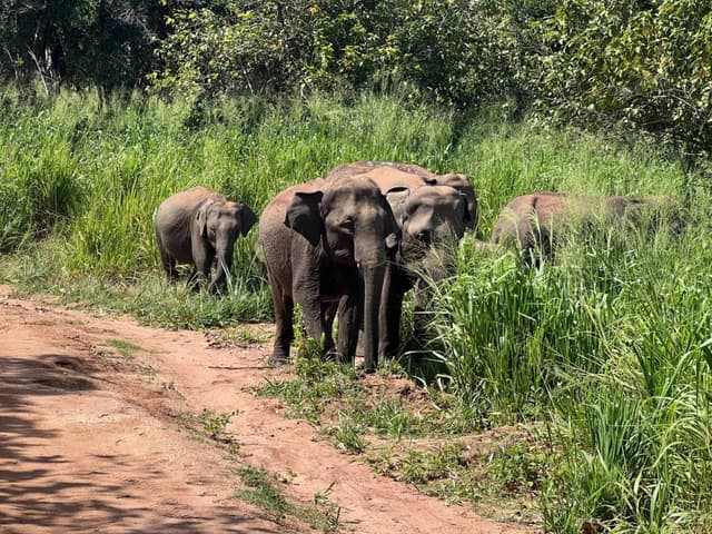(25/6/6),ChiKang L. 拍攝的第 1 張照片
