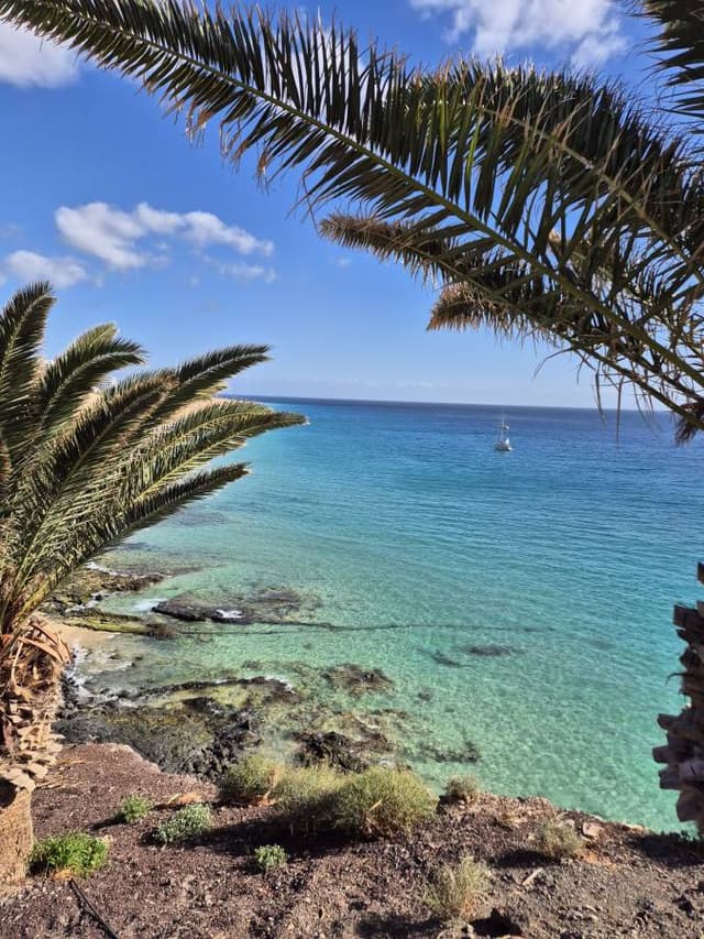 Foto 7 od Roman P. (7. 12. 25)