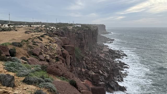 Foto di Guido angelo Gabriele P. (31/01/26)