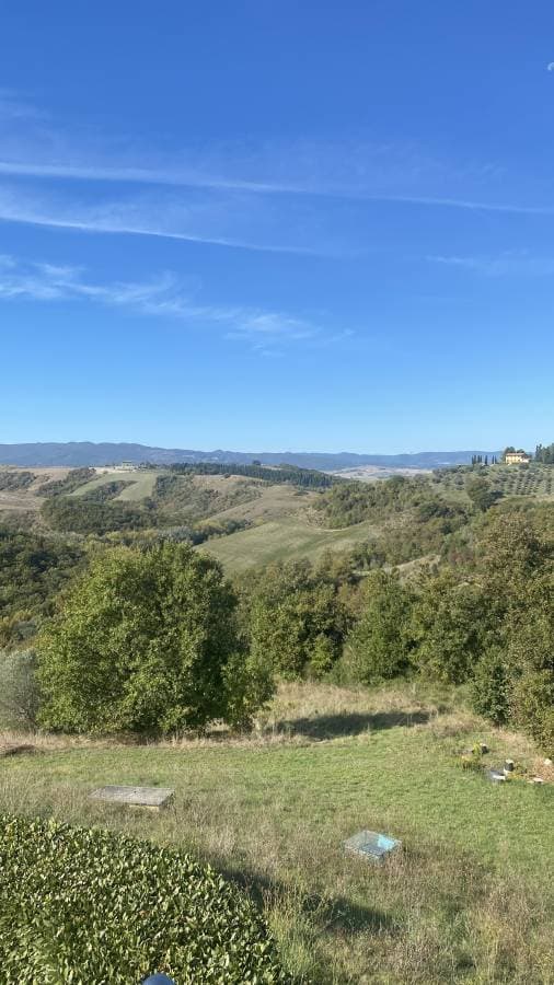 Photo 2 by Martin H. (10/20/25)