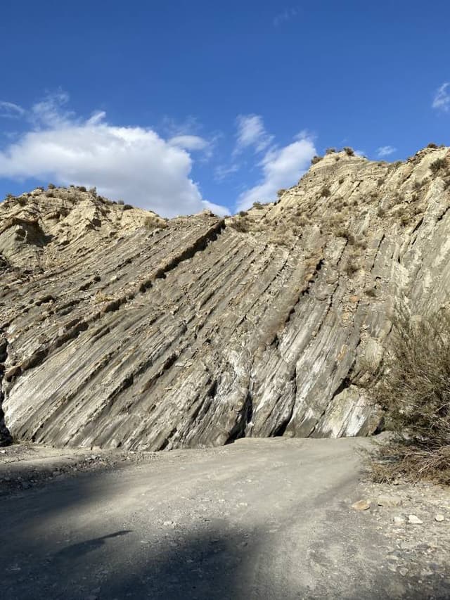 Photo 1 par Rosa S. (16/10/23)