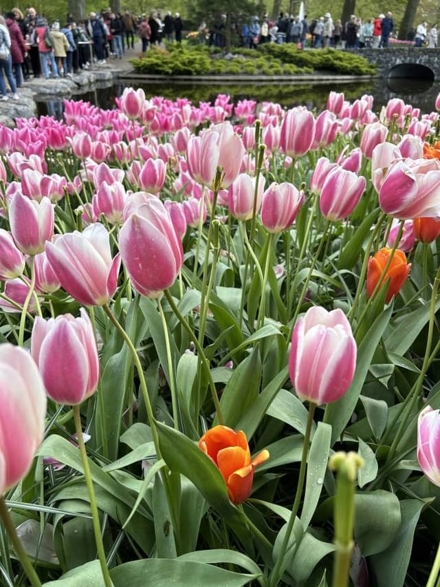 Foto 2 di Marco B. sul noleggio di una Opel Mokka a Eindhoven (24/04/24)