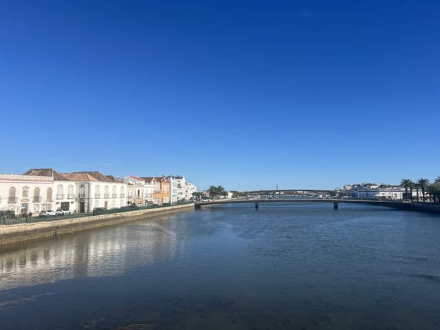 Photo 1 by Philip H. (12/5/25)