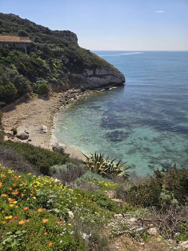 Zdjęcie wykonane przez Tomasz L. (19.03.26)