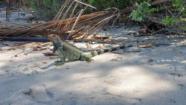 Photo 3 by Petra A. (3/29/23)