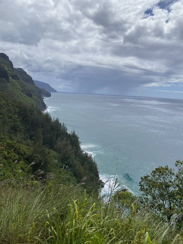 Photo 1 by Laura D. (6/2/25)