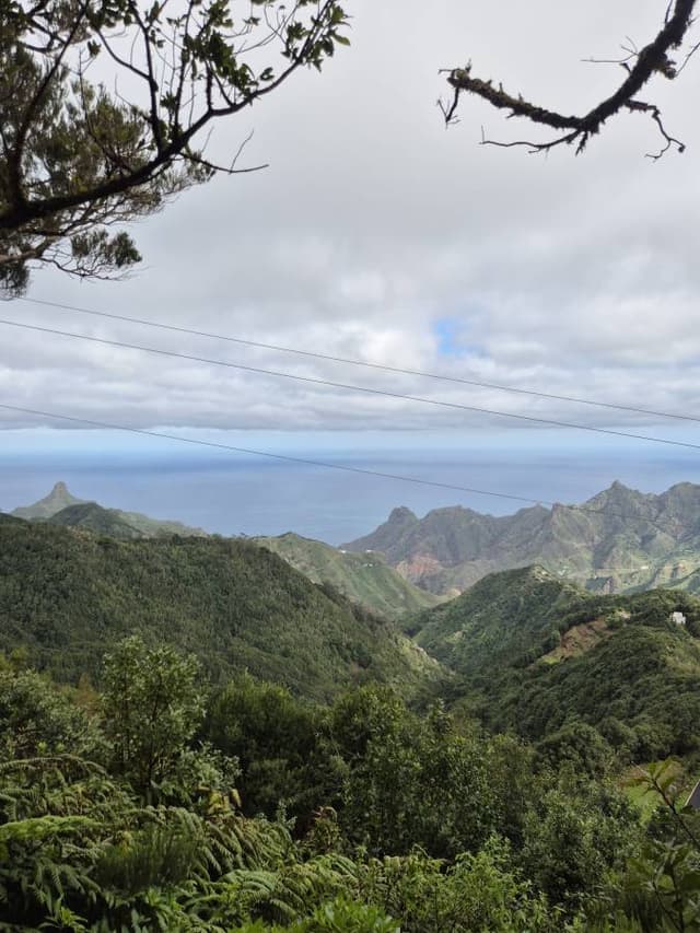 Fotografia 2 realizată de Elena M. (01.01.26)