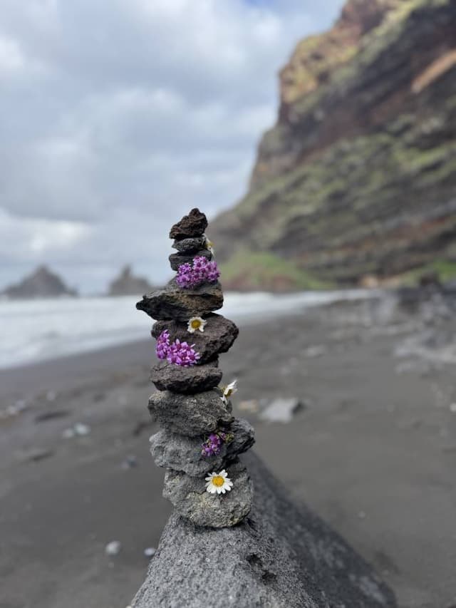 Photo 2 by Martin Kaergaard M. (3/30/26)