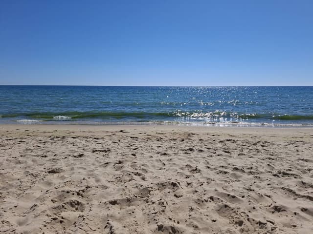 Foto 2 von Wilfried H. (9.10.25)