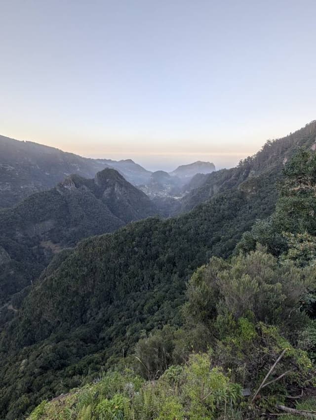 Photo 4 by Stephen Angus M. (3/7/26)