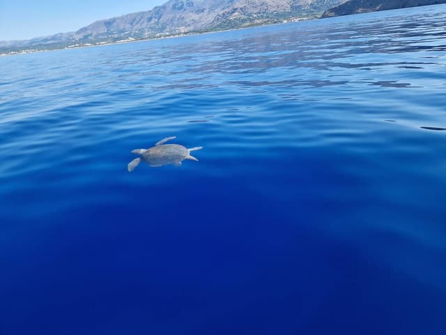 Photo 1 by Cozmolici D. about renting a Fiat Panda in Crete (6/15/24)