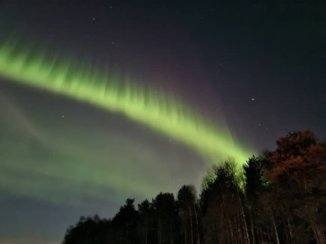 Foto 4 van Kim K. over het huren van een Volkswagen Polo op Rovaniemi luchthaven (13-3-25)