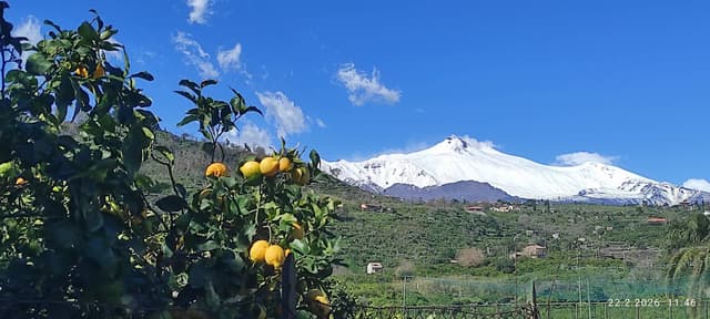 Foto od Richard K. (6. 3. 26)