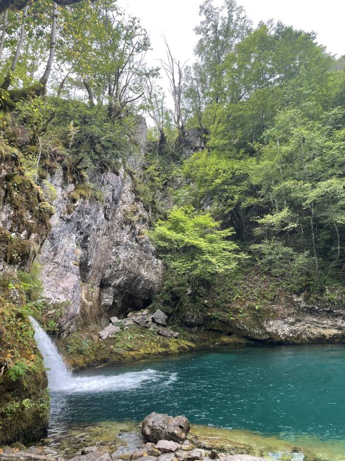Photo 3 by Micha H. (8/9/25)