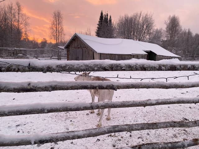 Фото 1 от Oleksandr L. об аренде Volkswagen Golf STW в Рованиеми (14.01.25)