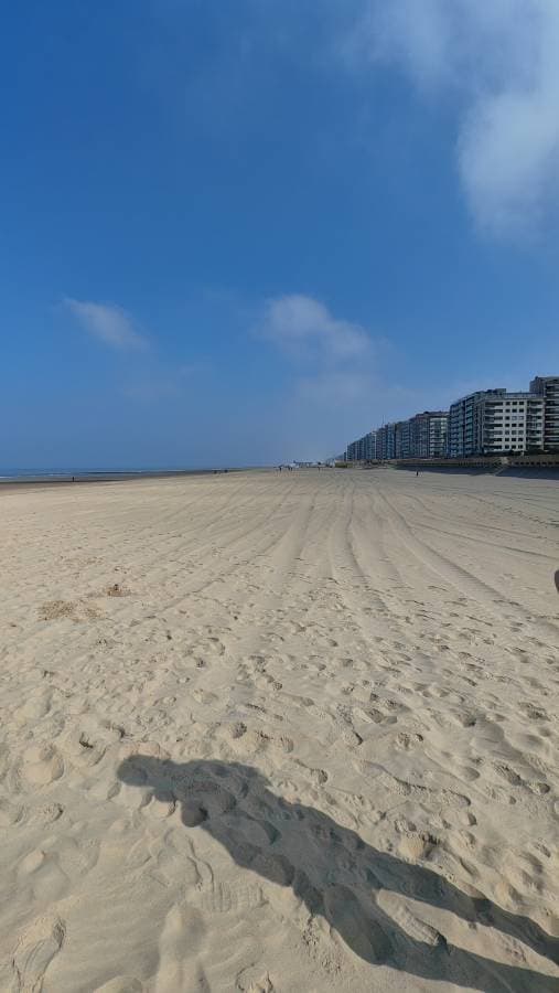 Photo 2 by Pal K. (3/23/26)