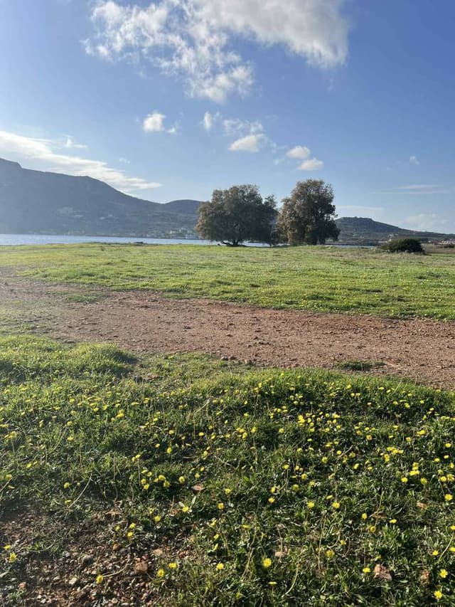 Photo 2 by Paul K. (11/21/25)