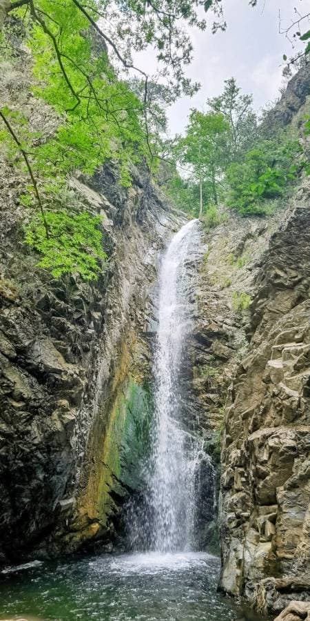 Photo by Jonathan P. (6/25/26)