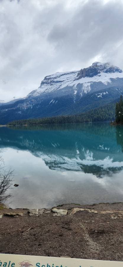 Photo 3 by Graeme M. (5/25/26)
