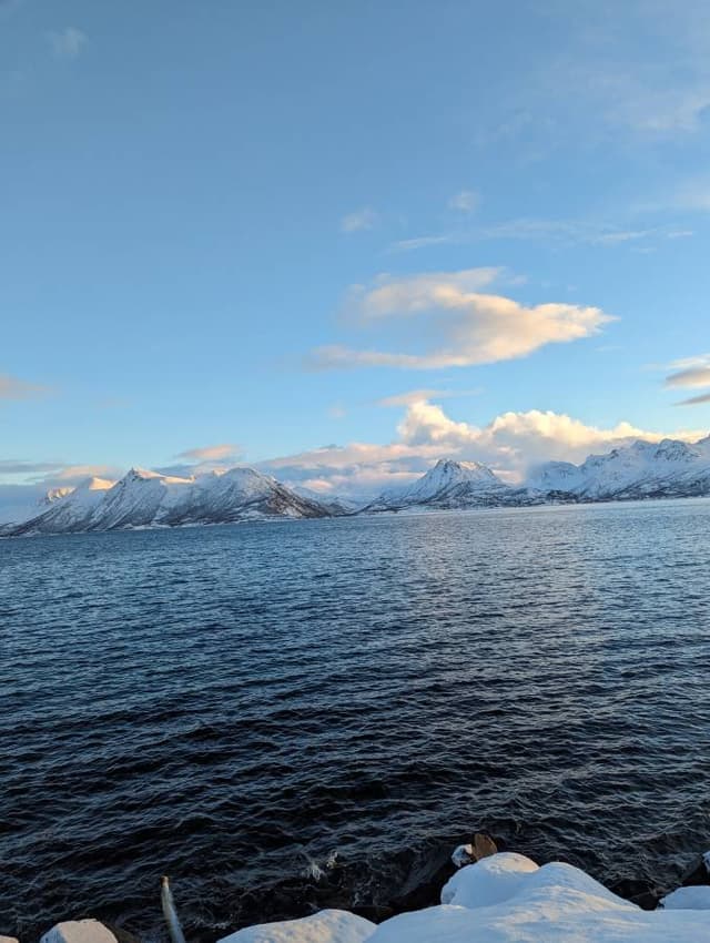 Photo 3 by Alexandru V. about renting a Peugeot 3008 in Oslo (2/14/24)