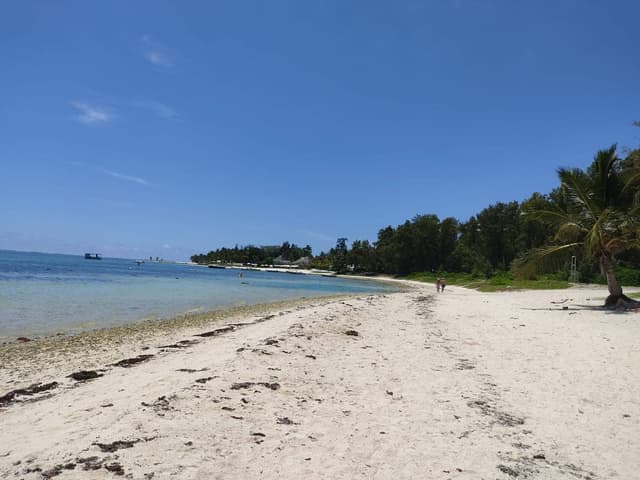 Photo 2 by Gerard T. (12/3/25)