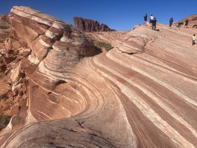 Photo 1 by Shuxiang G. (11/21/23)