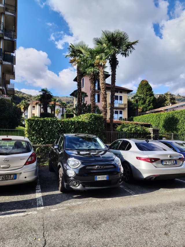 Снимка от YALDAZ N. (9.10.25 г.)