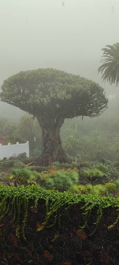 Foto 9 de Jose Manuel P. (20/11/25)