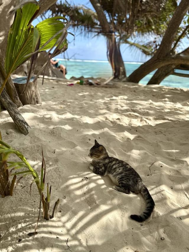 Foto 2 de RUBEN C. (14/9/25)