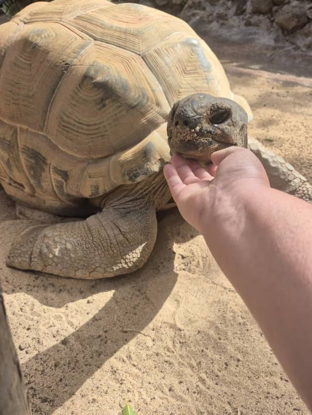 Photo 1 by David K. about hiring a Kia Picanto at Tenerife Airport South (16/03/26)