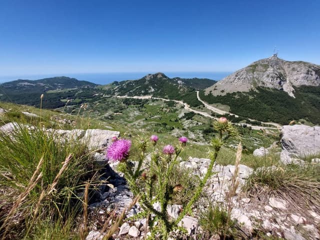 Zdjęcie wykonane przez Lukasz N. (11.06.24)