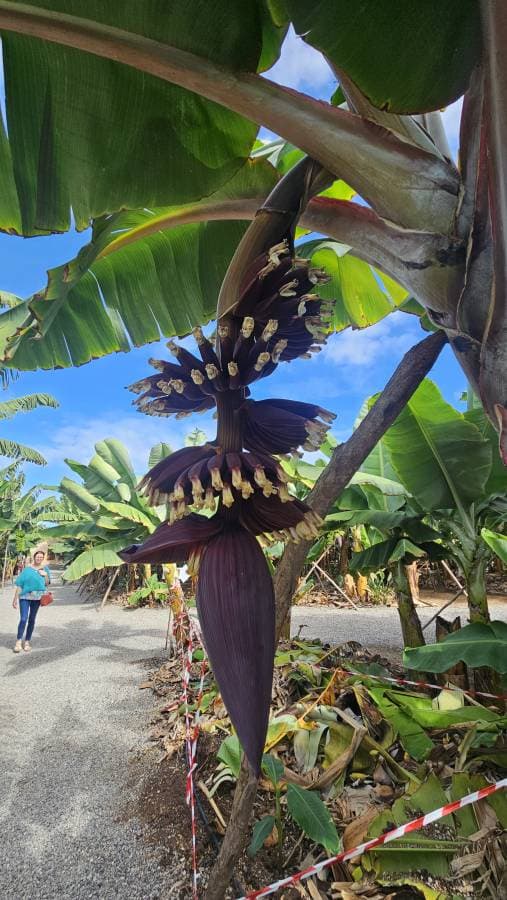 Photo 5 by Ostorhazi L. (11/12/25)