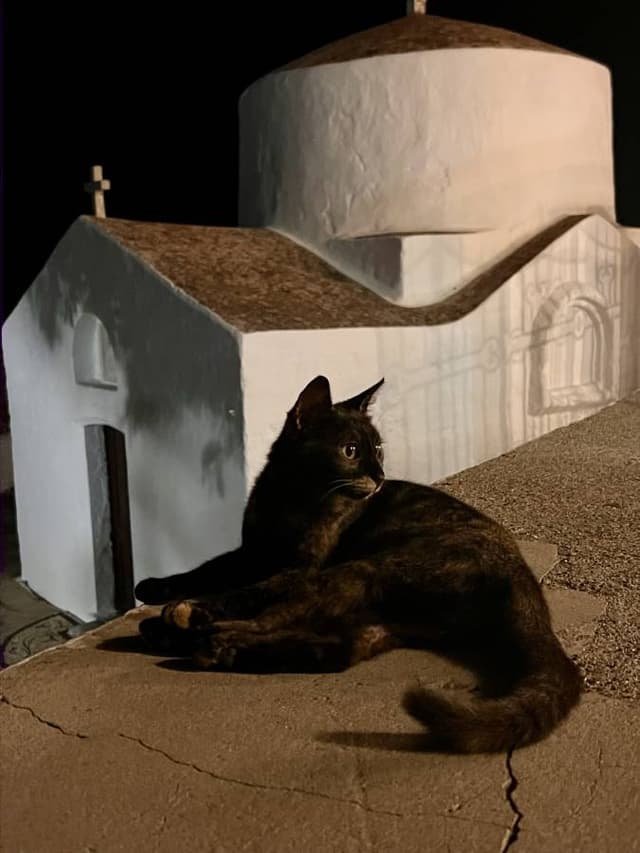 Foto 5 di Floriana M. (05/07/26)