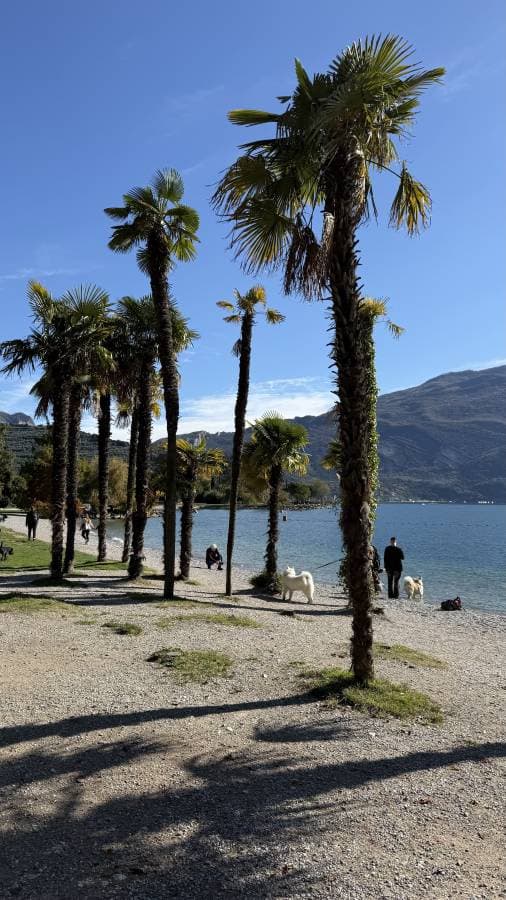 Фото 3 от Maxim C. об аренде Jeep Compass в Италии (01.11.25)