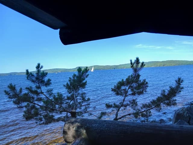 Photo 2 by Marja Lea D. (7/21/26)