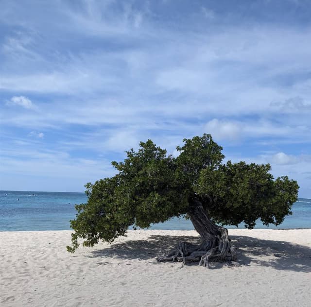 Photo 2 by Michele G. (1/24/26)