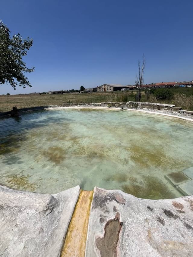 (25/6/30),Cheuk Wa Stanlie L. 拍攝的第 4 張照片